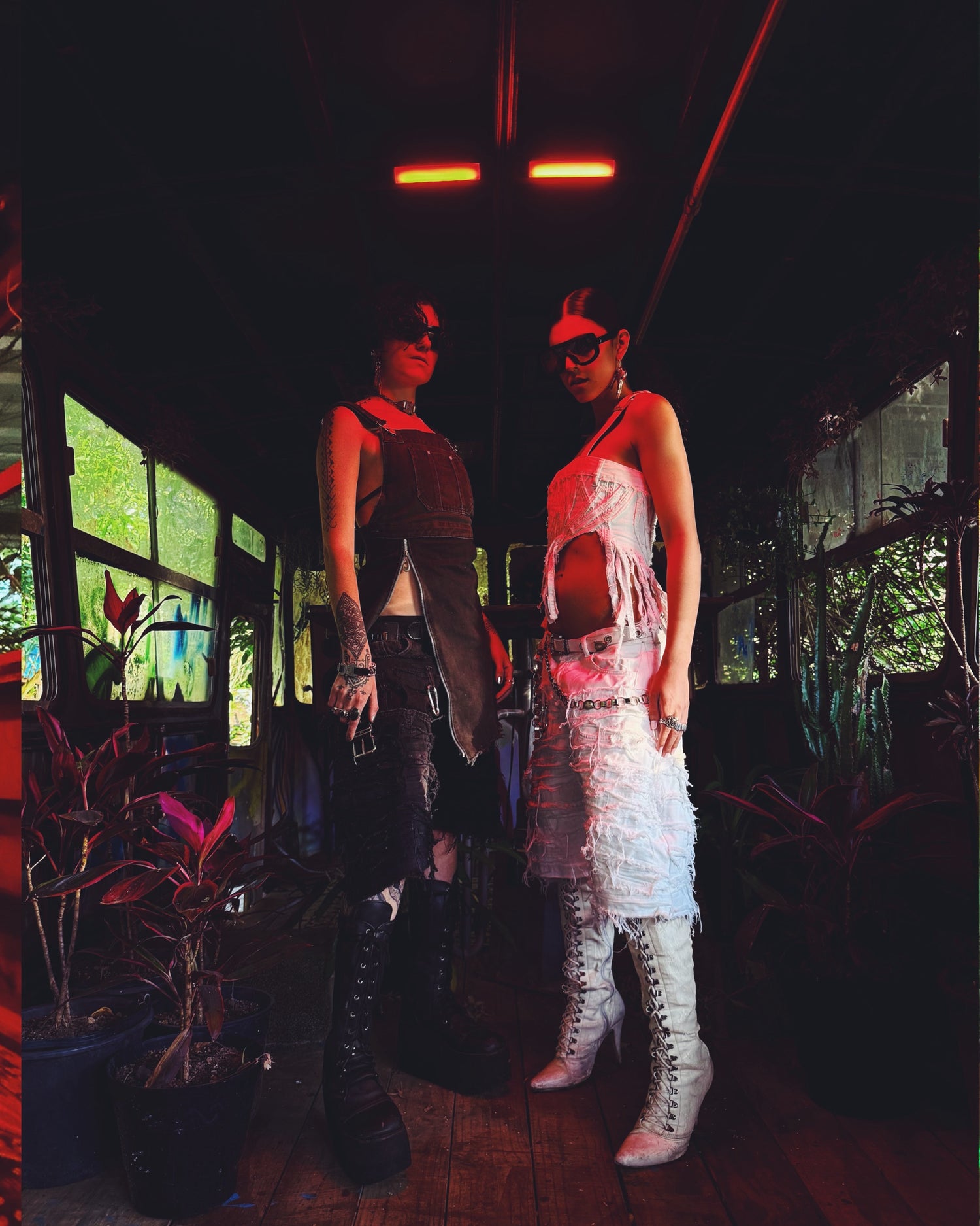 THE VAULT (COMPLETE CONFECTION)