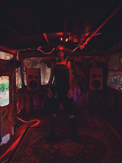 Zippo Mini Dress (black)