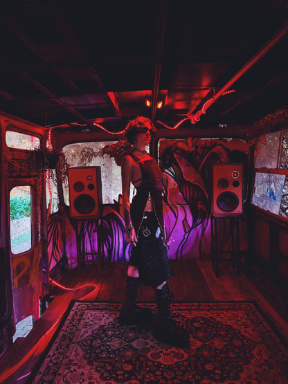 Zippo Mini Dress (black)